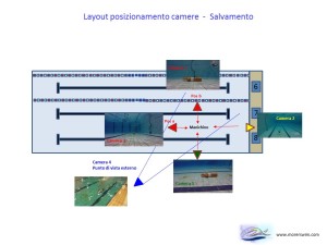 Report salvamento More Swim 1