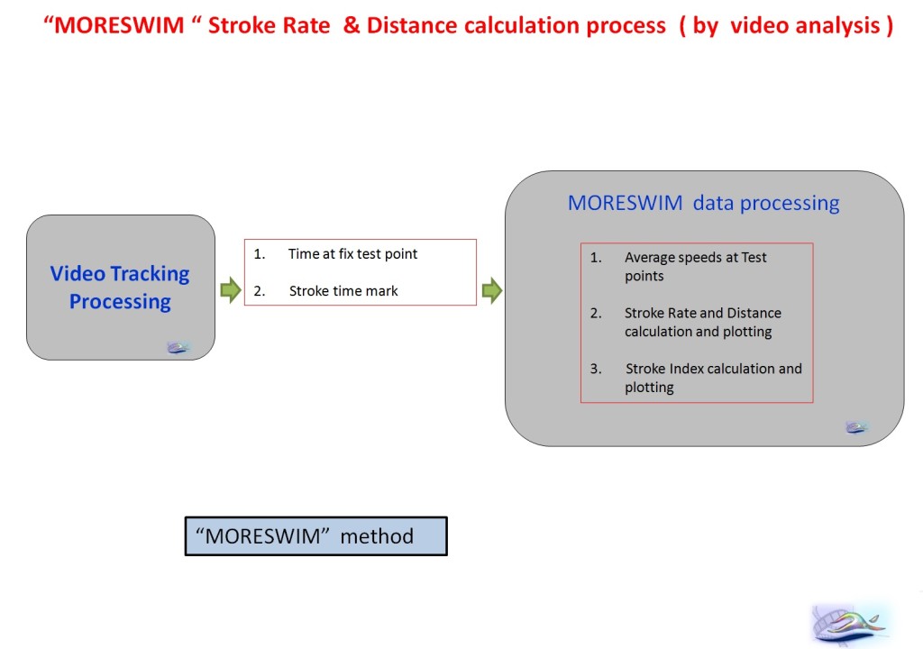 slide inglese moreswim method