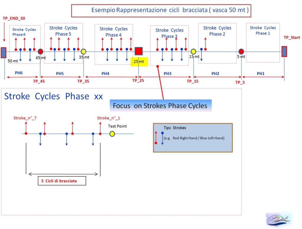 Esempio rappresentazione cicli braccita e time test points